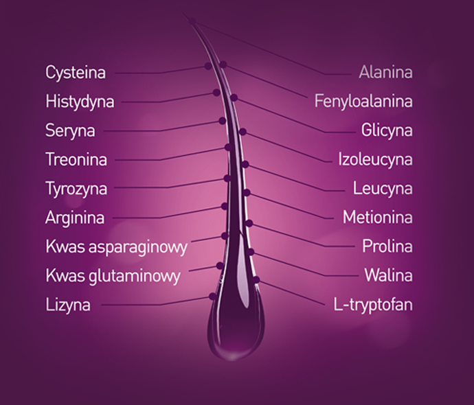 Kerafortin aminokwasy